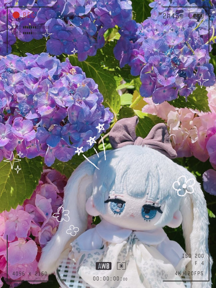 nemuuushi's tweet photo. 💠🌿🫧

👗💠 (@midnightnolemon)ｻﾏ
#pupuたち https://t.co/h0fTOZP8yz