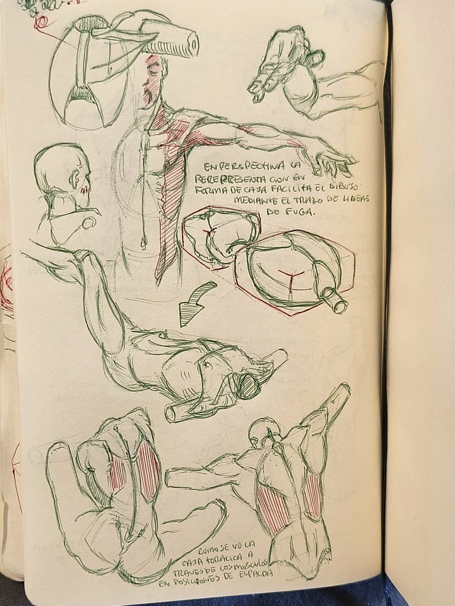 Rafitaska's tweet photo. More practices, in this case of "anatomía artística" by Michel Lauricella. Nice day! https://t.co/25qOxYcSgw