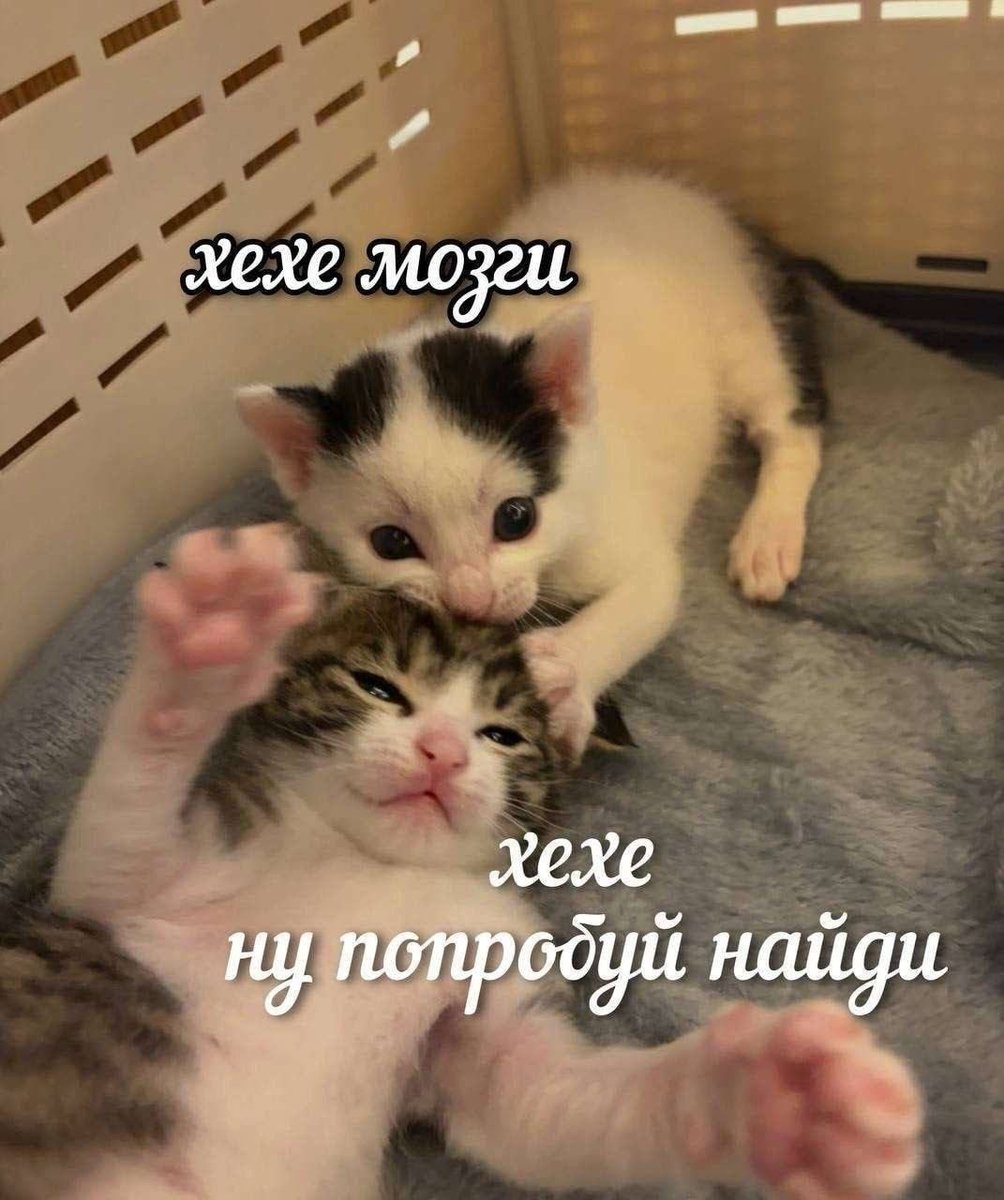 juliamayko's tweet photo. https://t.co/mMerLvRvfJ