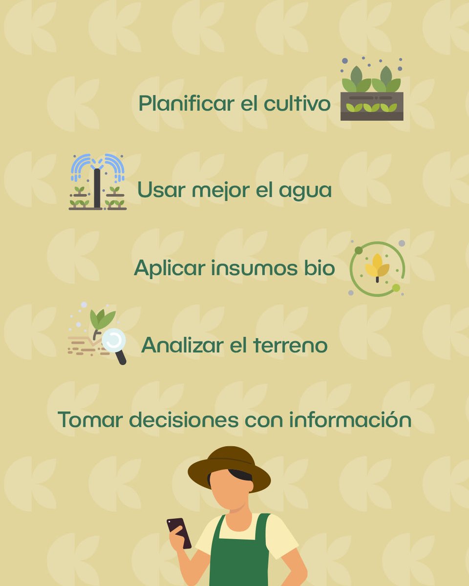 siembraco's tweet photo. Cuidar el suelo no es una acción aislada. Es una suma de decisiones responsables que fortalecen cada cosecha. 🌱

Desde SiembraCo seguimos promoviendo prácticas que ayudan a construir un campo más sostenible, productivo y consciente.🍃

#TuCosechaAUnClic #CuidadoDelSuelo https://t.co/EZav6jTzo9