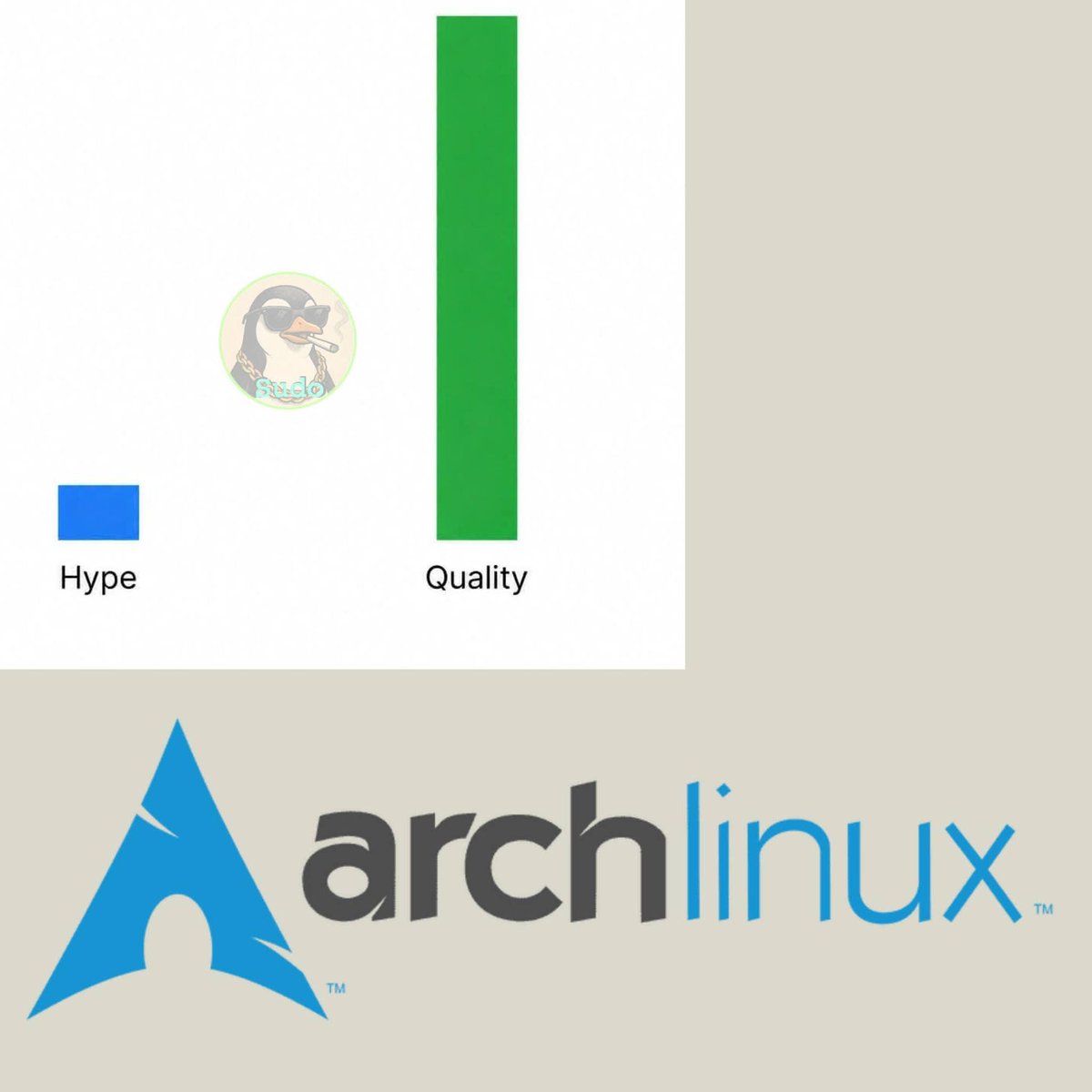 sant3834_kumar's tweet photo. This meme is 100% perfect for this  Arch users will be agree with me. https://t.co/uwRnLnhjfr