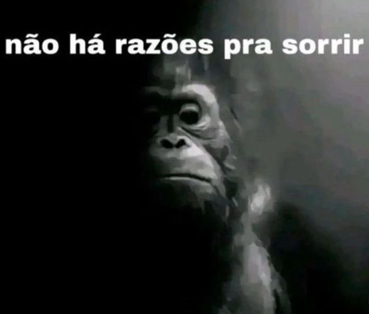 yntrospectivo's tweet photo. @Brenn_ooo @CrimesReais https://t.co/wqRoEgKb06