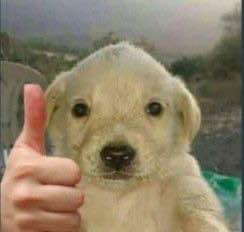 JotchuaTheMeme's tweet photo. Jotchua sees your conviction and approves.

Higher. https://t.co/rqsa5RnH0B