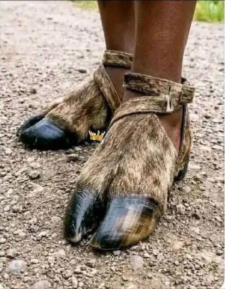 ButikPlug's tweet photo. Cow 🐄 Split Hoof

Size 40-46 https://t.co/cMiXUmbI1y