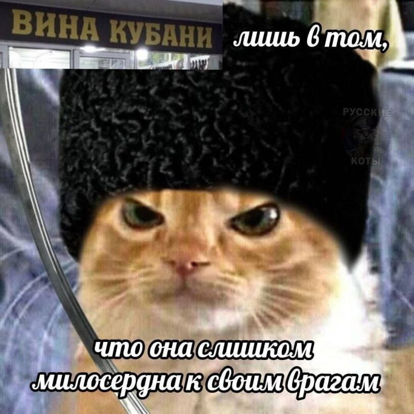 SlavWorm's tweet photo. @grairovich_14 https://t.co/fWyaP7qp6N