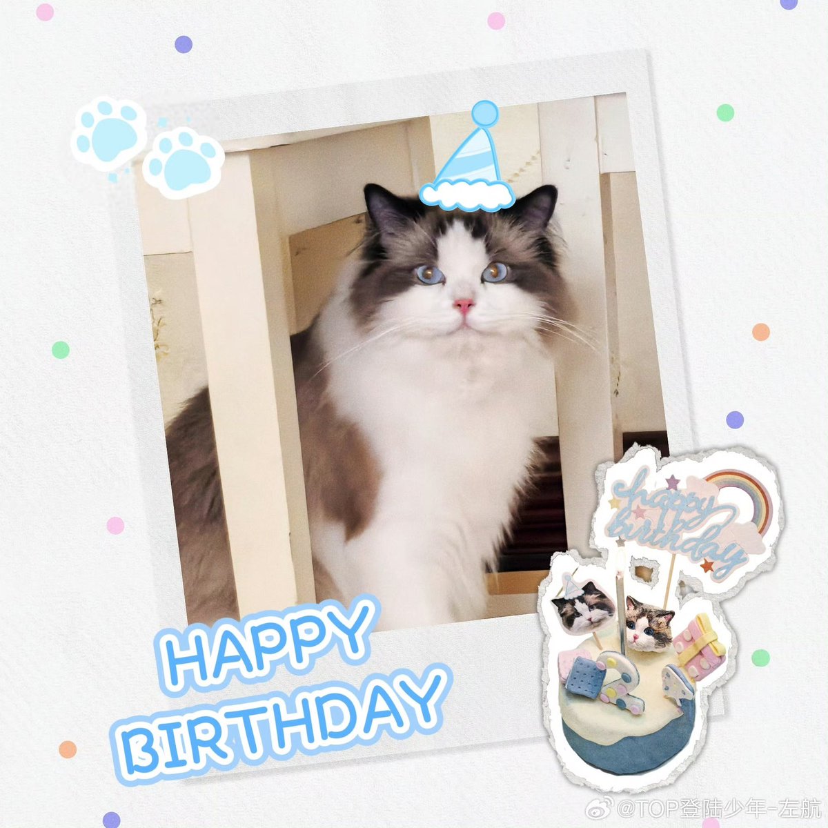 serenaexpl's tweet photo. 如果是左航做的美工那真的也太可爱了吧  感觉很用心的在对待厚米的生日贺图 一想到他和我们一样会为了p合适的图 而去找各种各样素材就又觉得很好梦啊 如此负责任的老公去哪找 https://t.co/rsxdU34u8a