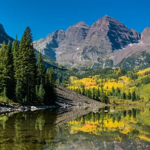 factpostnews's tweet photo. The Trump administration has announced plans to allow logging and construction on public lands. https://t.co/cTMBBcTWSY