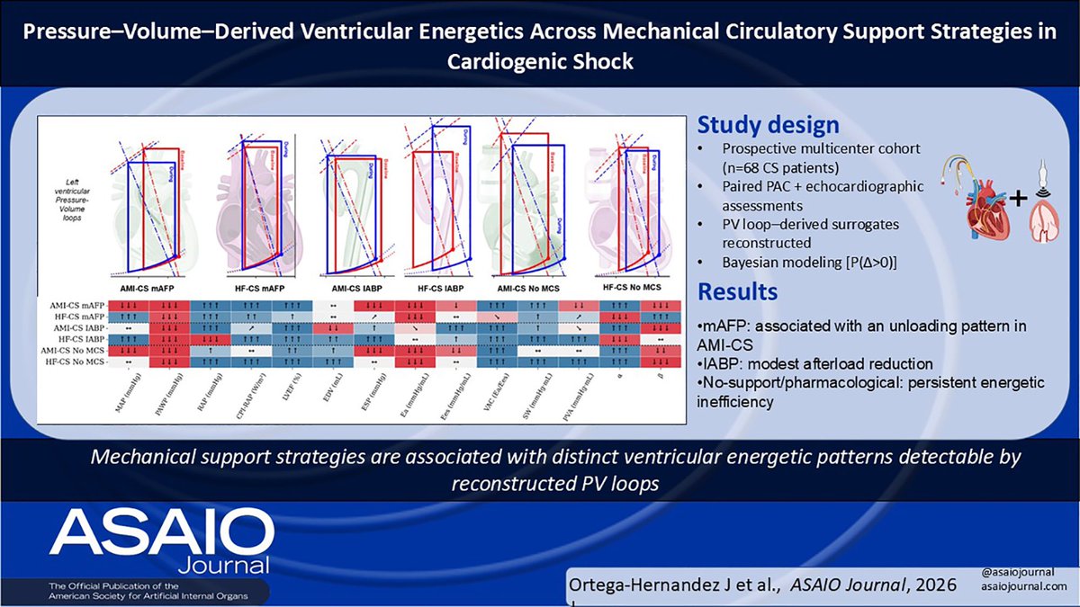 Jorgeheartshock's tweet photo. 📄 New in @ASAIOJournal
By integrating pulmonary artery catheter and echocardiographic data, we derived bedside PVloop surrogates across different support strategies in cardiogenic shock.⚡️🫀
https://t.co/3bLUHy45Ns
#CardiogenicShock #Cardiology #Hemodynamics #Pvloops https://t.co/oWTCqSWlPT