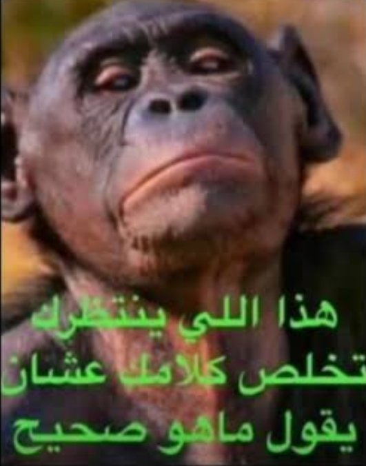 lord__10's tweet photo. شبيحة المنتهي https://t.co/bJ2MbUeAqi