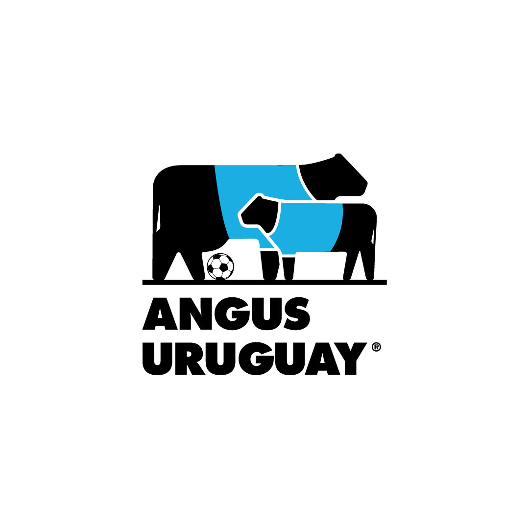 AngusUruguay's tweet photo. ⚽🥩 ¡Nos ponemos en modo Mundial!

Estrenamos nueva foto de perfil para vivir juntos cada partido, con la pasión que nos une dentro y fuera de la cancha. https://t.co/toEBhbiYVR