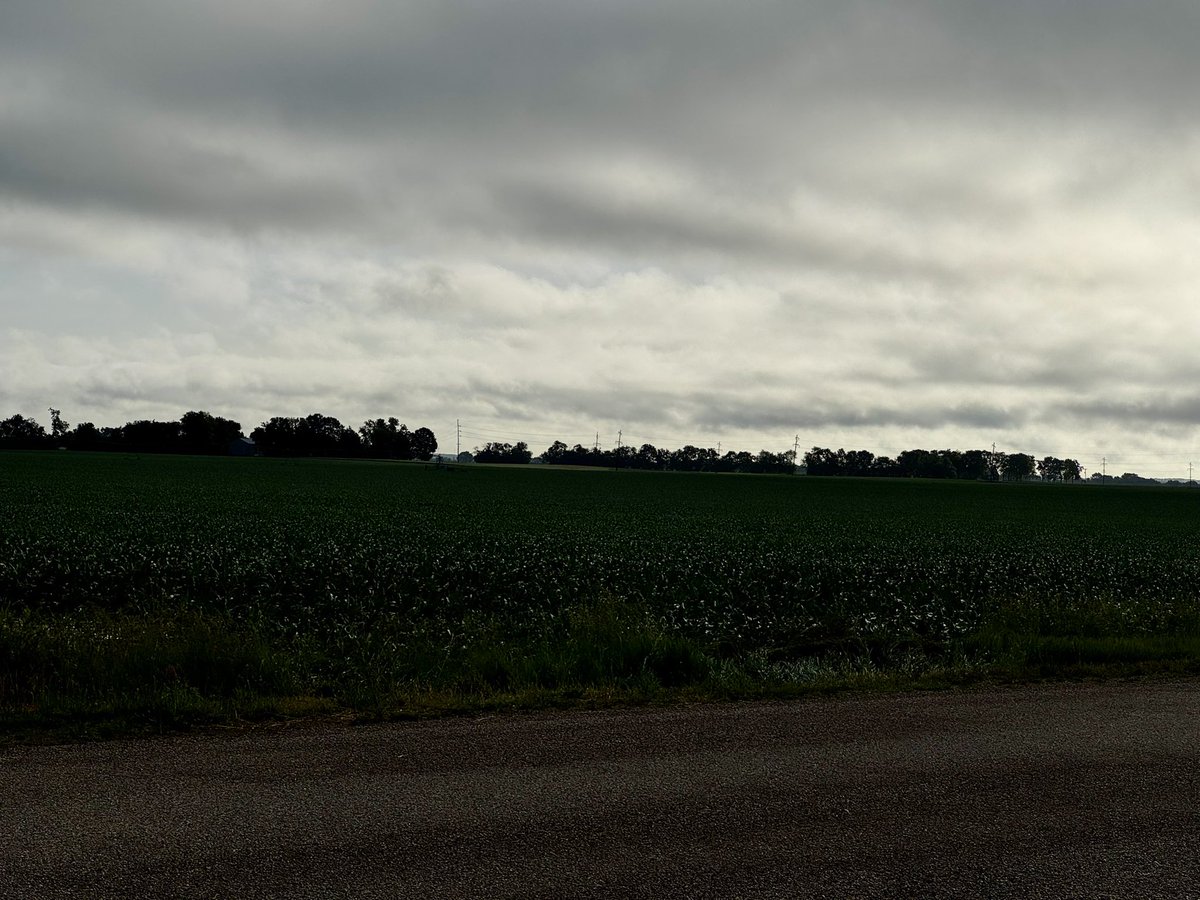FoulkShay's tweet photo. Just remember when you look at the neighbors field:

You don’t know what price they marketed it at

You don’t know their cost of production

You don’t know what their debt repayment schedule looks like

You don’t know what demons they are battling with internally

Run your race. Be profitable for yourself. Be thankful for what you have.