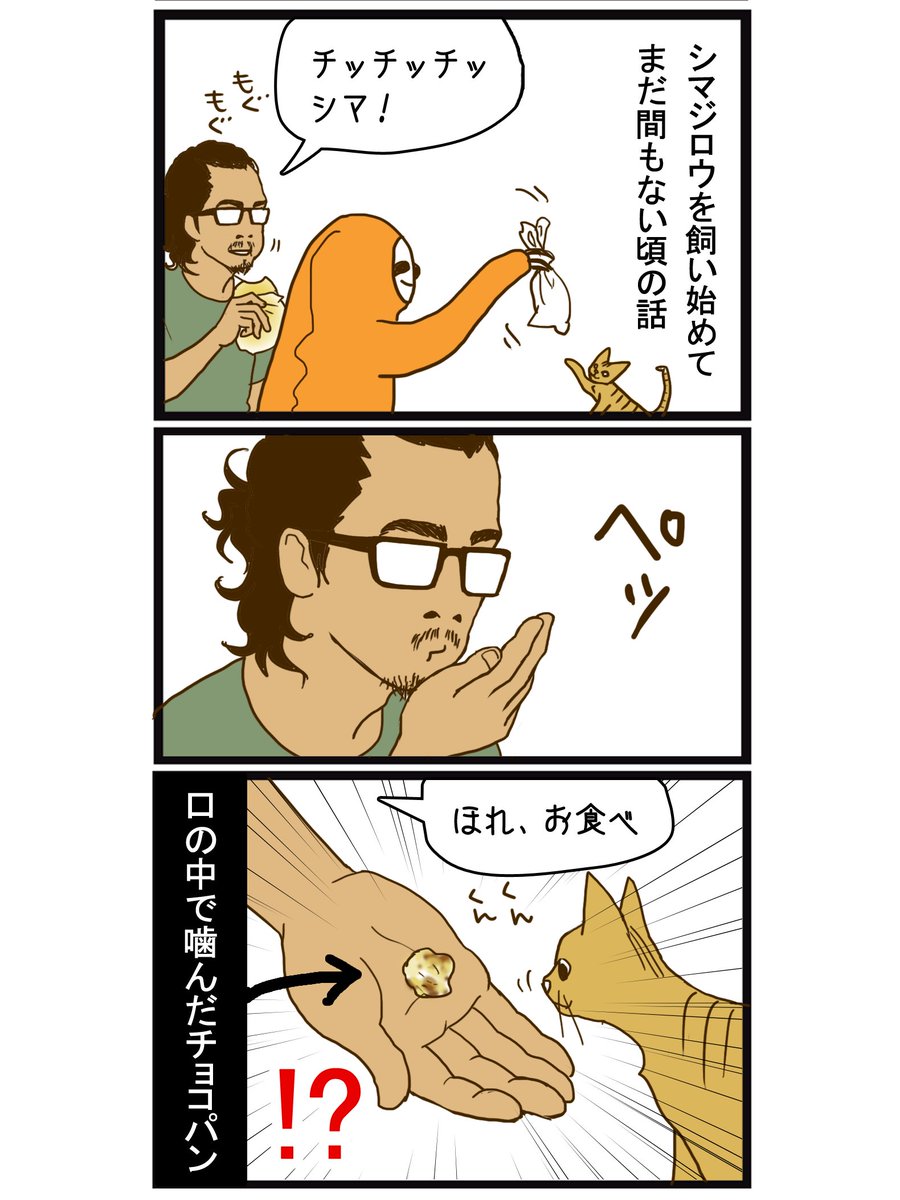 ama_kina's tweet photo. インドネシア人相棒の「猫に懐かれる方法」が独特すぎて、全力で止めた話 (1/2)  

※過去ブログ再掲 https://t.co/1skTxYTGxr