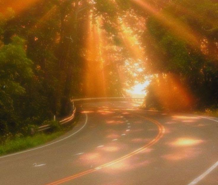 artindetails's tweet photo. caught in a warm, golden haze https://t.co/11siSiNnPt