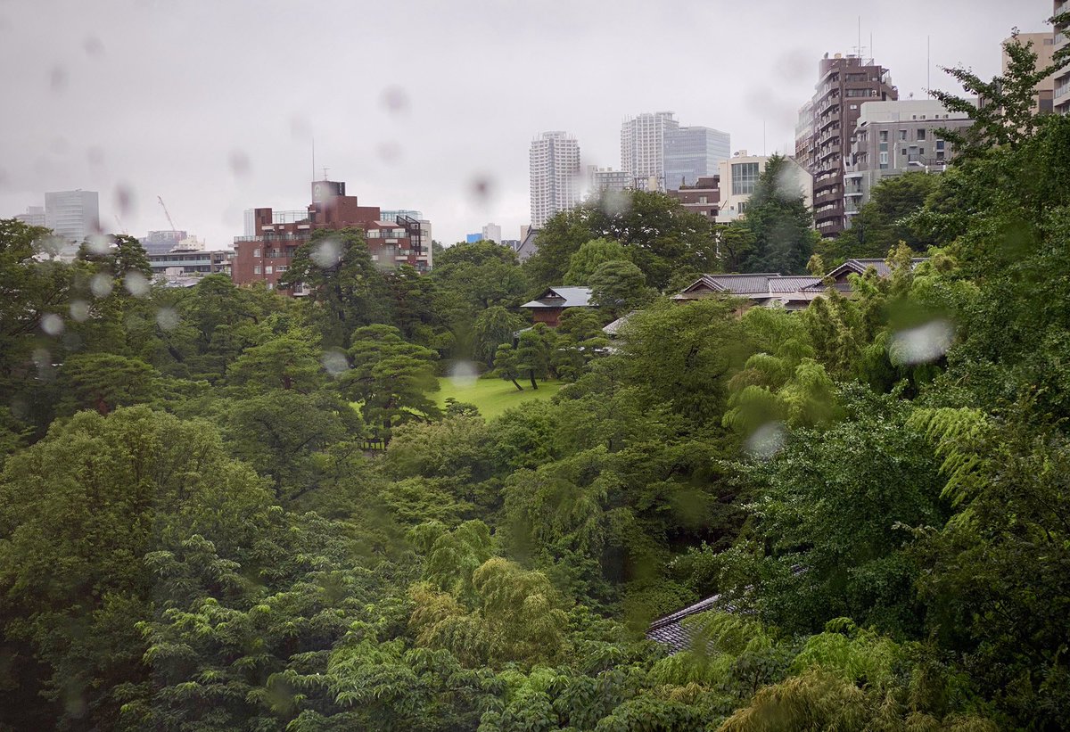 master2600's tweet photo. テーマ「梅雨・雨」

タイトル：アマツブ
カメラ： iPhone
場所：品川
　　姪っ子の結婚式は雨でした。

#ゴゴボラケ写真部 
#ゴゴボラケ https://t.co/up61mxA1tY