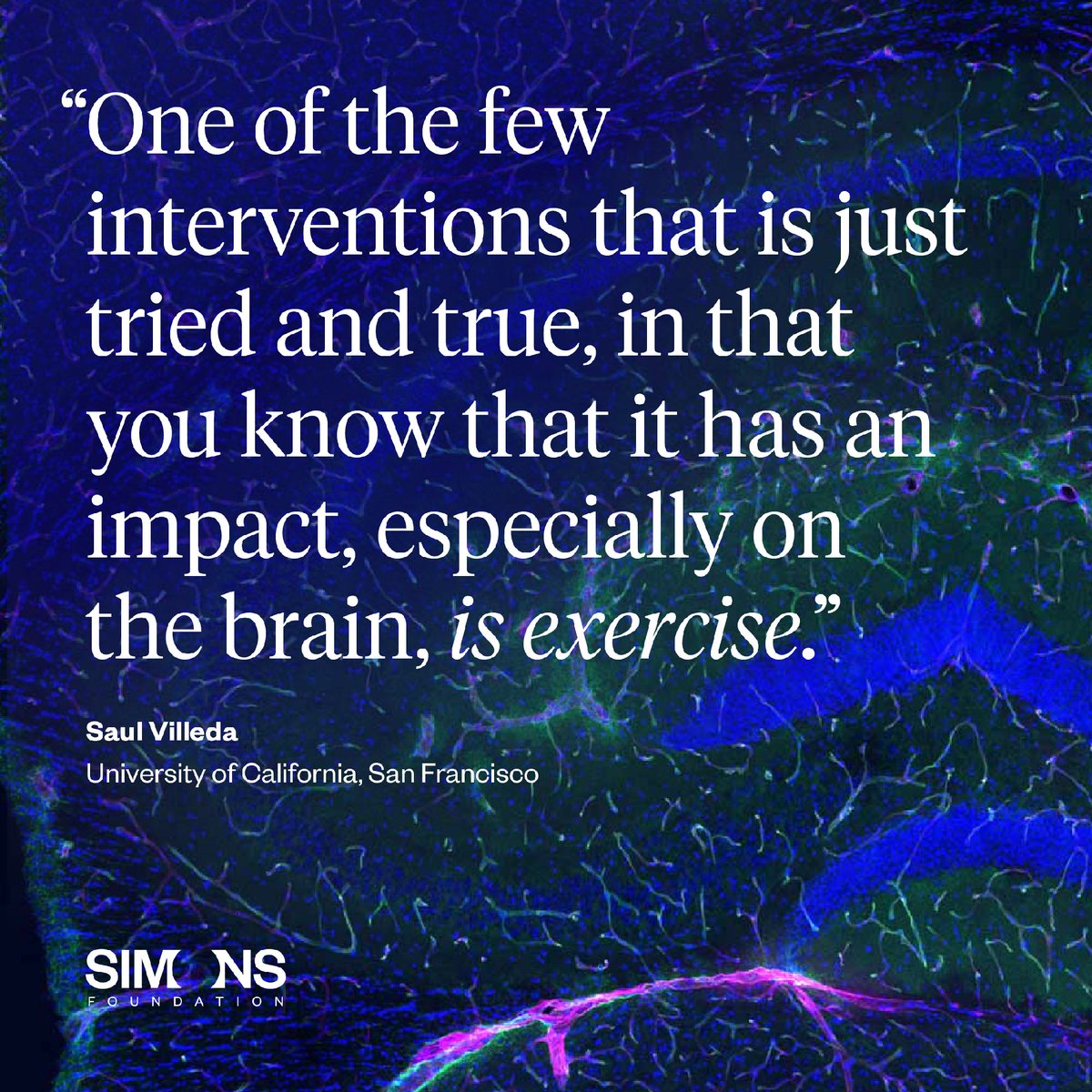 SimonsFdn's tweet photo. New research on the liver could help scientists develop treatments to reduce symptoms of Alzheimer’s disease in those unable to regularly exercise on their own: https://t.co/sBLTLu5LbO #science #aging #neuroscience https://t.co/b5nQRgOFIZ