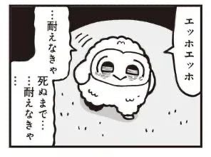 igamoon's tweet photo. https://t.co/Y6PmU640Lh