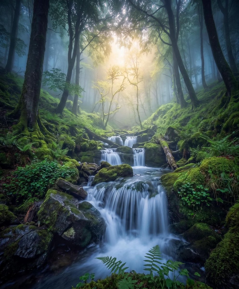 man_dares's tweet photo. Stunning https://t.co/7sTE1UDLjK