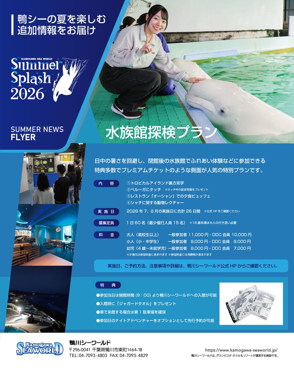 kamoseaOfficial's tweet photo. 夏の鴨川シーワールドを楽しむ
追加情報をフライヤーで公開！

これから追加されていく夏情報を
画像保存しておくと旅行の計画で便利です！

①シャチデザインの「濡れないチケット」登場
https://t.co/wA4XmJnQRX

②「水族館探検プラン」＆「ナイトアドベンチャー」
https://t.co/AUIOhQmQoY

夏の追加情報は続々とアップ予定！
これからも、お楽しみに！！

●夏のおまとめページ
https://t.co/Q1amiclthS