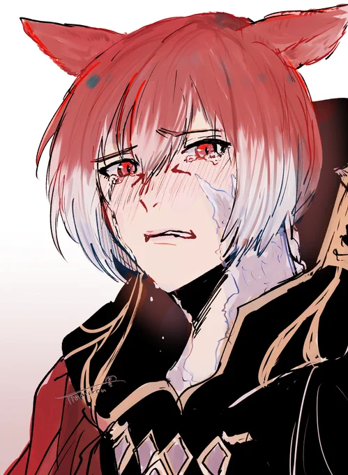 公