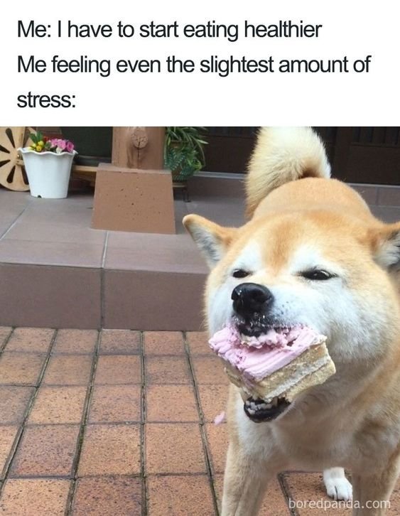 WholesomeMeme's tweet photo. https://t.co/mPYDkXUFMp