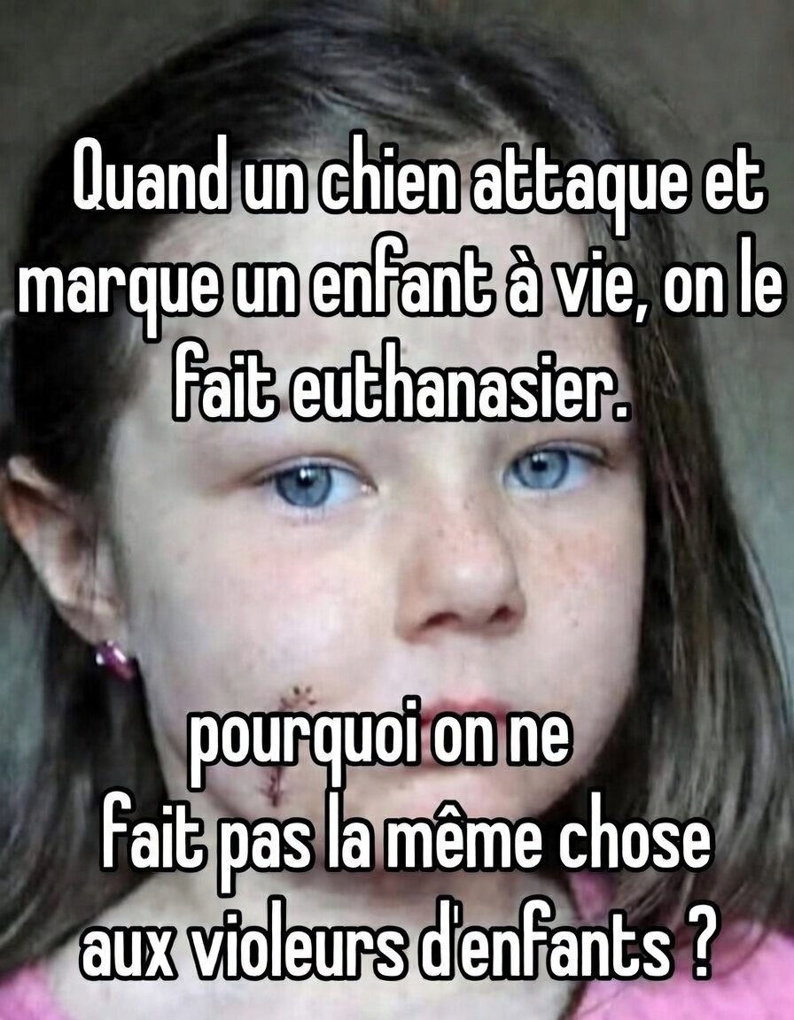 PascalF24805417's tweet photo. @Gorbatchev48425 @ChangeFrance https://t.co/XqR7KDr9y6