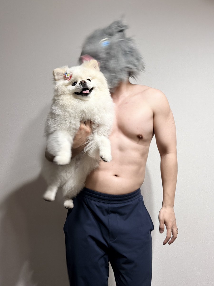 InosukeWorkout's tweet photo. シーズン2
103日目
体重4.5kgと65.5kg
立ちコロ100回 https://t.co/Ed0iUALKZD