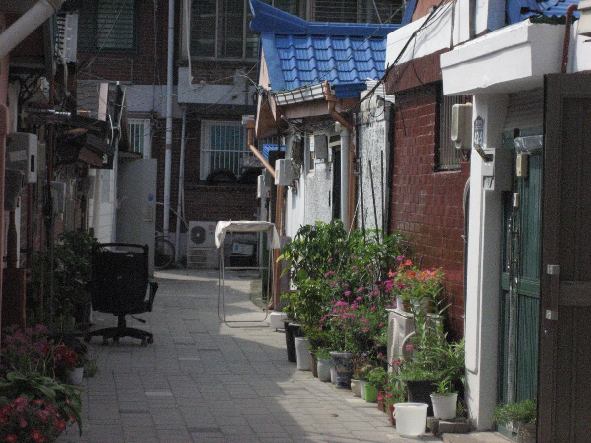 zxcvpiap's tweet photo. 느낌 좋은 골목은 나를 설레게 해 (˶‾᷄ ⁻̫ ‾᷅˵) https://t.co/v4GI2yM3ah