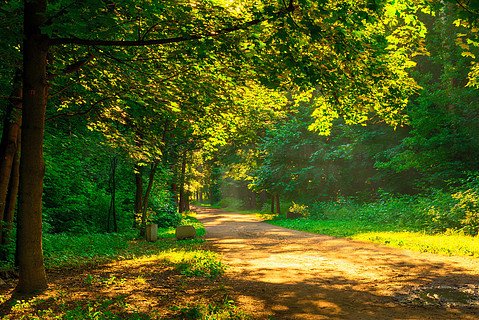 Eddie1897's tweet photo. [Just nailed my first 10k trail run! Every step pushed me past my limit — growth happens when you step outside what feels easy. ♂]， https://t.co/L1meXdydt5
