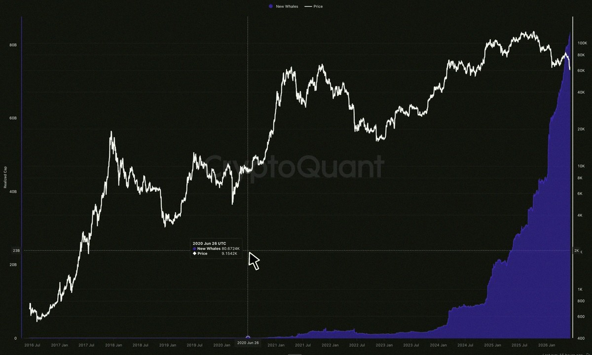 danmel27's tweet photo. 🚨 Mind-blowing: Bitcoin whales have been buying BTC like crazy over the last few years.

Once it hits the bottom...

The next bull run is going to be insane. 👇 https://t.co/sZJoxP8Ywt