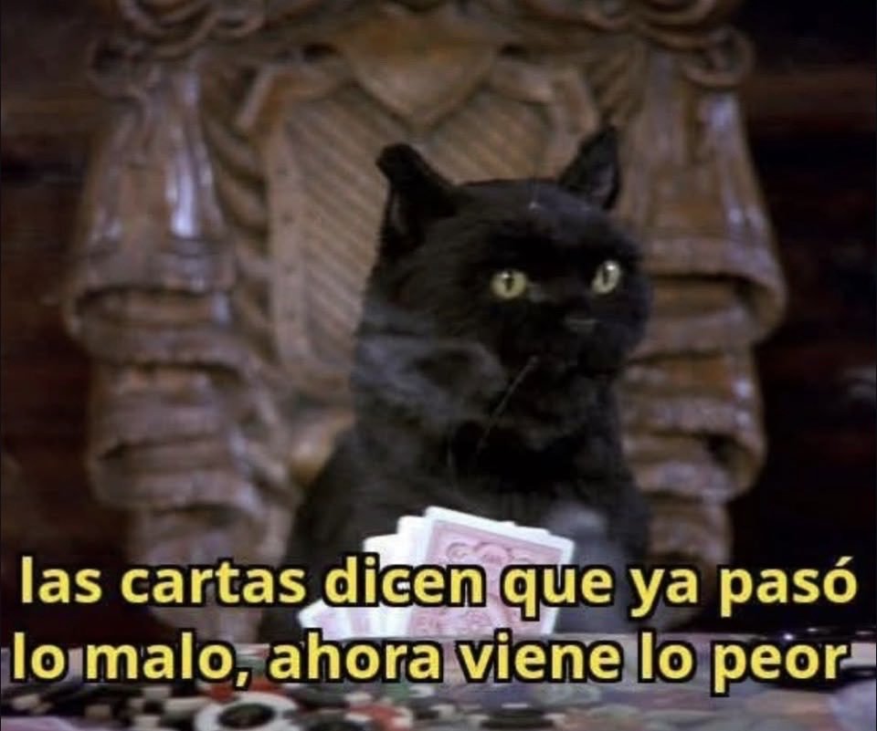 62forevermore's tweet photo. jueves...que no decaiga! https://t.co/NOLz0Y6lbG