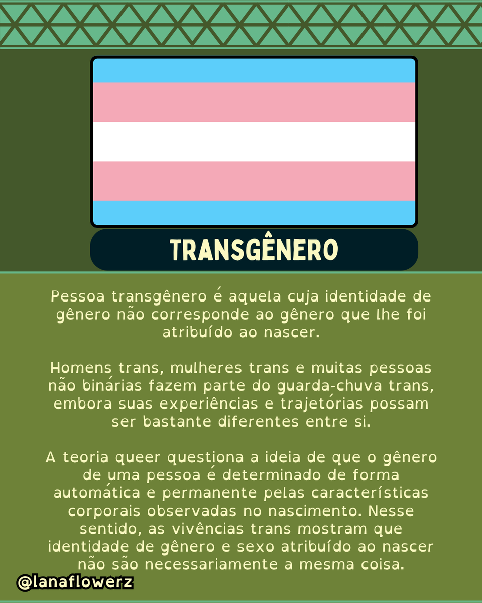 lanaflowerz's tweet photo. O que é trans ? 

Sobre as cores da bandeira trans
🏳️‍⚧️🏳️‍⚧️🏳️‍⚧️ https://t.co/nUadaK4EWj
