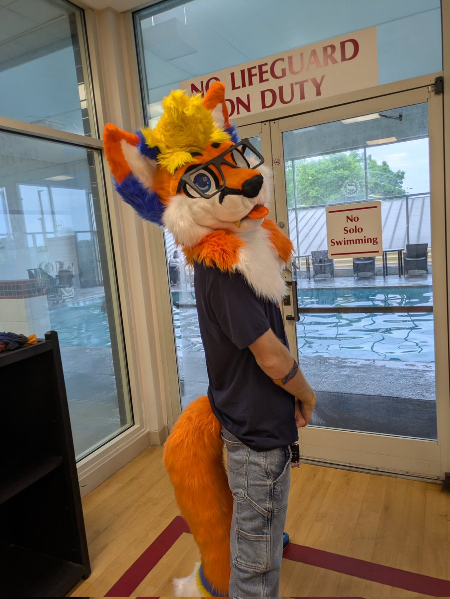 Jellybeansuits's tweet photo. @BlueeJay06 If you like my style and can make a pretty cute fox! Send me your ref! https://t.co/xGJGDWkEd2