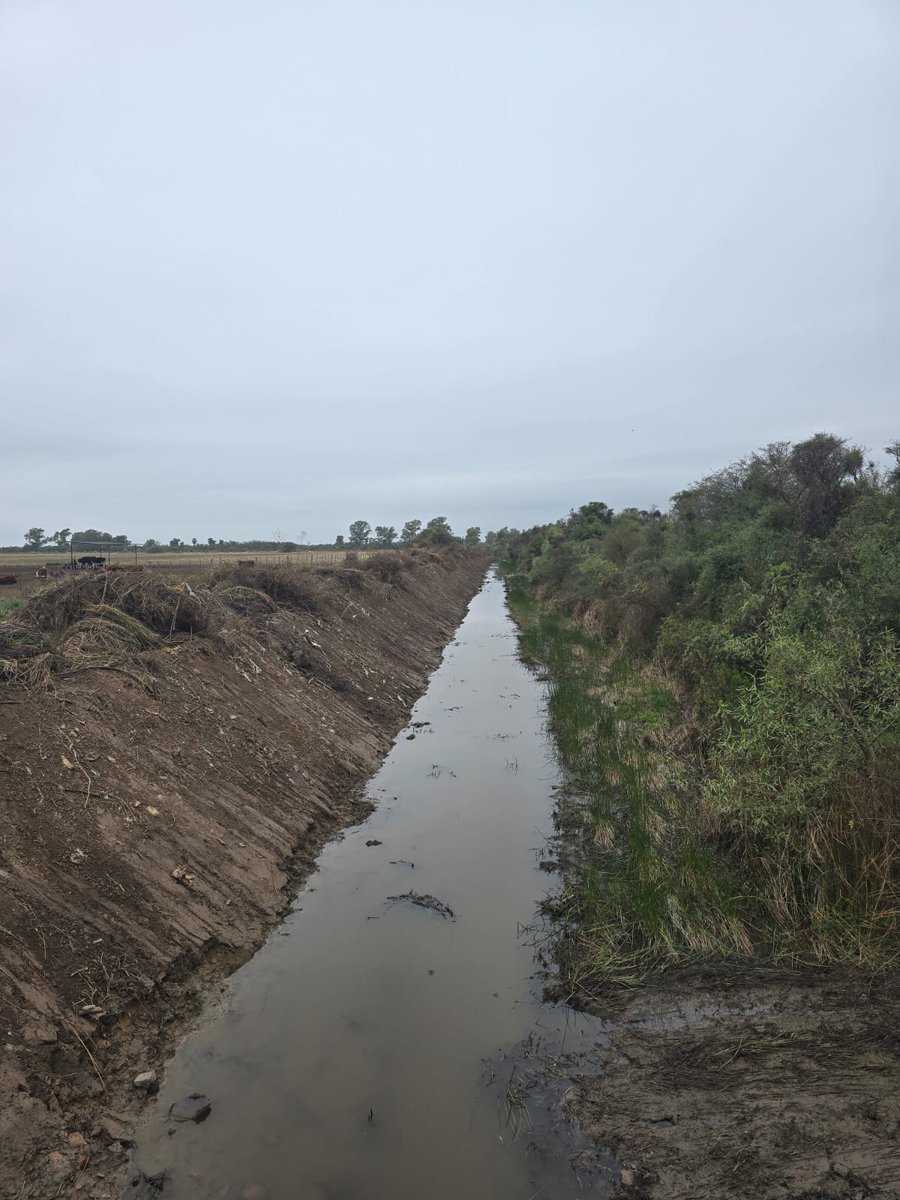 MinSPcba's tweet photo. 💧🚜 SEGUIMOS FORTALECIENDO LOS SISTEMAS DE DRENAJE DE CÓRDOBA PARA LA PREVENCIÓN DE INNUNDACIONES

Desde la Secretaría de Infraestructura Hídrica, avanzamos con el Plan de Mantenimiento y Readecuación de Obras Hídricas para mejorar el funcionamiento de los sistemas de drenaje y prevenir anegamientos e inundaciones. 🌧️ ⤵️

📍 En la zona próxima a la localidad de Balnearia, se ejecutan tareas de mantenimiento y rectificación de infraestructura hídrica periurbana y rural, optimizando el escurrimiento de los excedentes hídricos y reduciendo el riesgo de anegamientos temporales. 👏🏽

👷🏼 Estas intervenciones permiten preservar el funcionamiento de las obras existentes, proteger a las comunidades y acompañar el desarrollo productivo de la región con una infraestructura preparada para responder a los desafíos climáticos. 💪🏼

#HacerParaCrecer