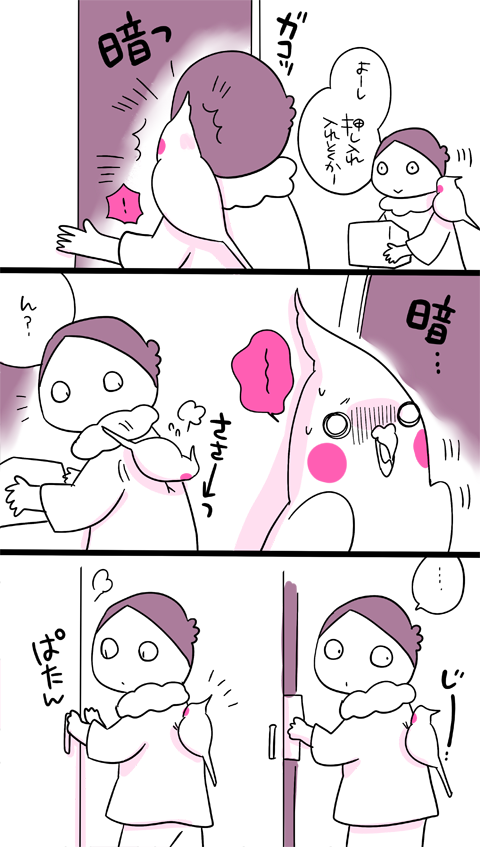 dollchka's tweet photo. あわびちゃんはオカメにしては怖がりじゃないけどモノの見え方が人間と違うので「え！？何で？」ってものを急に嫌がることがある
一緒に暮らしてて楽しい(*´◒`*)
違う生き物と暮らすとこういうの楽しいねｗ https://t.co/gMtRFHZQAj