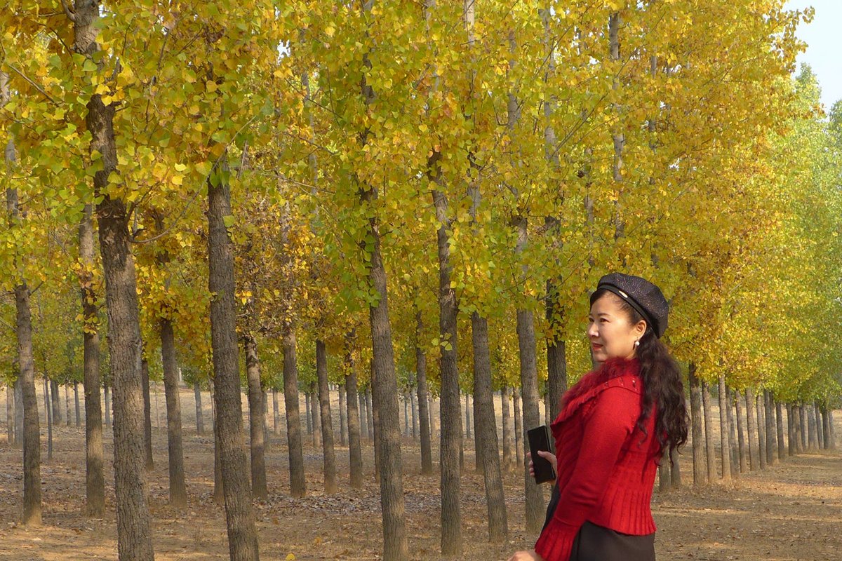 MarimotiK's tweet photo. Our photography club's weekend outdoor shooting activity is open! Come capture the beautiful autumn scenery with us, share works, and make like-minded friends. Sign up now via the club group. #PhotographyClub #AutumnActivity https://t.co/i10hLgHGSU