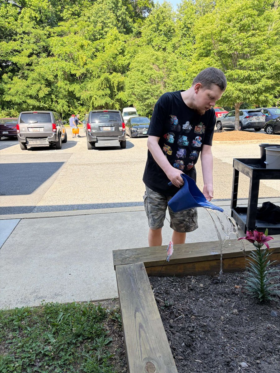 arcsoch's tweet photo. 🌱✨Look at the growth of this lily that was planted last year! The transformation is amazing, thanks to the wonderful people we support in keeping this alive.🌼💪 #GardenGoals #CommunityLove https://t.co/yssBk6AQe0
