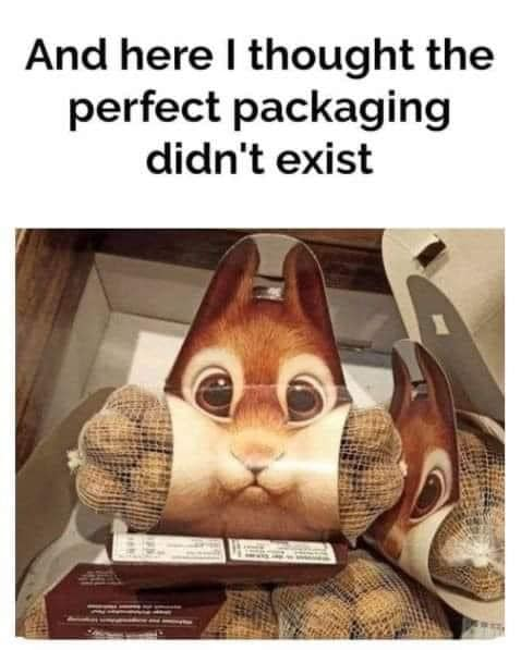 WholesomeMeme's tweet photo. https://t.co/bUdPLVkVB2