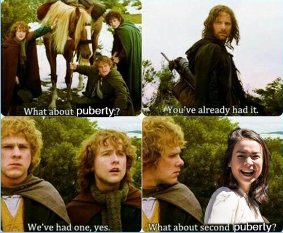 or_bitbybit's tweet photo. time to post this meme i made years ago https://t.co/X4z9mWhGta