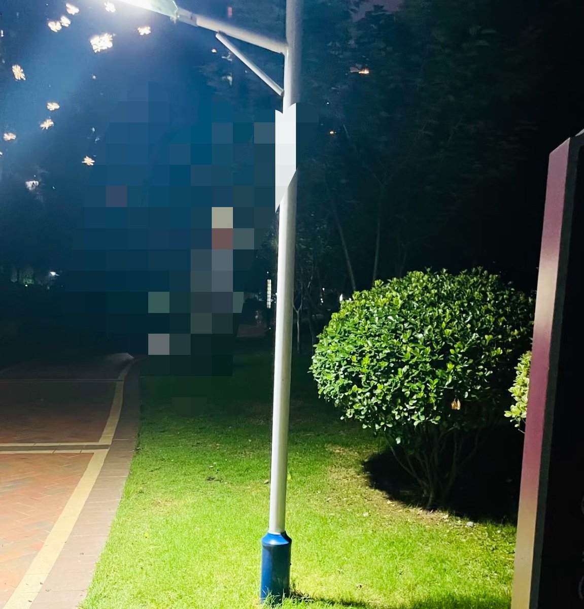 薛一一 tweet media