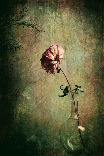 gevdime's tweet photo. .
If you haven’t the strength to impose your own terms upon life, then you must accept the terms it offers you.
.
            . - T. S. Eliot
.
                .img: jp.pinterest. https://t.co/m5YBSI3v34