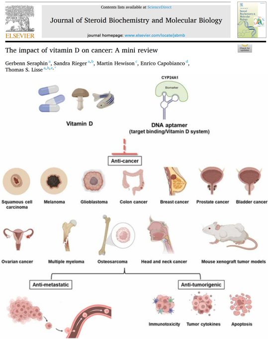 Fa21519230's tweet photo. 🚨🚨 La vitamina D podría prevenir 30.000 muertes por cáncer al año solo en Alemania...
Más de 900 estudios muestran la actividad anticancerígena de la vitamina D en la mayoría de los tipos de cáncer, y los ensayos controlados aleatorios demuestran una reducción de aproximadamente el 13 % en la mortalidad por cáncer.
Los cánceres con beneficios demostrados incluyen:
• Mama
• Próstata
• Colorrectal
• Pulmón
• Cerebro (glioblastoma)
• Melanoma
• Ovárico
• Vejiga
• Cabeza y cuello
• Mieloma múltiple
Los efectos están mediados por la señalización del receptor de vitamina D (VDR), la modulación inmunitaria y el control del microambiente tumoral.
Si los adultos mayores de 50 años recibieran suplementos de vitamina D de forma rutinaria en dosis diarias modestas:
➡️ ~30.000 vidas salvadas al año (solo en Alemania)
➡️ ~322.000 años de vida ganados anualmente
➡️ ~$280 millones en ahorros netos en atención médica por año
➡️ Costo: ~$11–$55 por persona al año
Algunas de las herramientas más poderosas para prevenir el cáncer no son ni novedosas ni rentables..
https://t.co/e6JxfGBKnk de
🚨Desde 2006, la diabetes tipo 1 en Finlandia se ha estabilizado y luego ha disminuido tras la decisión de las autoridades de fortificar los productos lácteos con colecalciferol. El papel de la vitamina D en la inmunidad innata y adaptativa es crucial. Recientemente se descubrió un error estadístico en la estimación de la ingesta diaria recomendada (IDR) de vitamina D; en un análisis correcto de los datos utilizados por el Instituto de Medicina, se determinó que se necesitaban 8895 UI/día para que el 97,5 % de las personas alcanzaran valores ≥50 nmol/L. Otro estudio confirmó que se necesitaban 6201 UI/día para alcanzar 75 nmol/L y 9122 UI/día para alcanzar 100 nmol/L.  El mayor metaanálisis jamás realizado de estudios publicados entre 1966 y 2013 mostró que niveles de 25-hidroxivitamina D <75 nmol/L podrían ser demasiado bajos para su seguridad y estar asociados con una mayor mortalidad por todas las causas, lo que desmiente la presunción previa de una curva de mortalidad en forma de U asociada con los niveles de vitamina D. Dado que la mortalidad por todas las enfermedades se reduce a 1,0 con niveles séricos de vitamina D ≥100 nmol/L, instamos a las autoridades de salud pública a considerar la designación como RDA de al menos tres cuartas partes de los niveles propuestos por el Comité de Expertos de la Sociedad de Endocrinología como dosis máximas tolerables de ingesta diaria segura. Esto podría llevar a una recomendación de 1000 UI para niños menores de un año que consumen fórmula enriquecida, 1500 UI para niños amamantados mayores de 6 meses, 3000 UI para niños mayores de un año y alrededor de 8000 UI para adultos jóvenes en adelante. Se necesitan medidas urgentes para proteger a la población mundial de la deficiencia de vitamina D.
🚨ERROR estadístico en la estimación de la ingesta diaria recomendada (IDR) de vitamina D por tu médico...
https://t.co/D8cSGvns0a