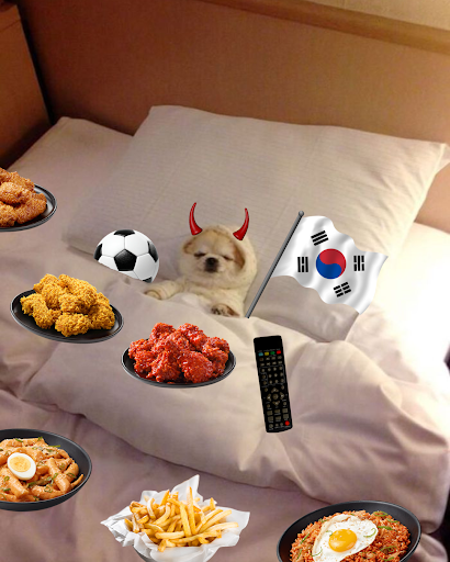 bbqChickenUS's tweet photo. how the world cup finds me tonight https://t.co/G3jM4rzbnM