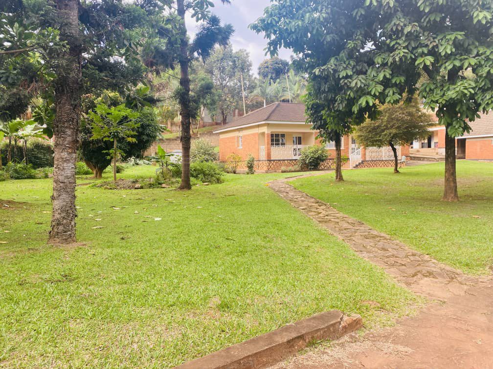Jspropetyestete's tweet photo. HOUSE FOR SALE 

LOCATION 
NAGURU 

PLOT SIZE 
65 decimals

4 BEDROOMS
4 BATHROOMS 

PRICE 
$720,000 USD

Can also demolish for new construction https://t.co/OVsZyonwoq