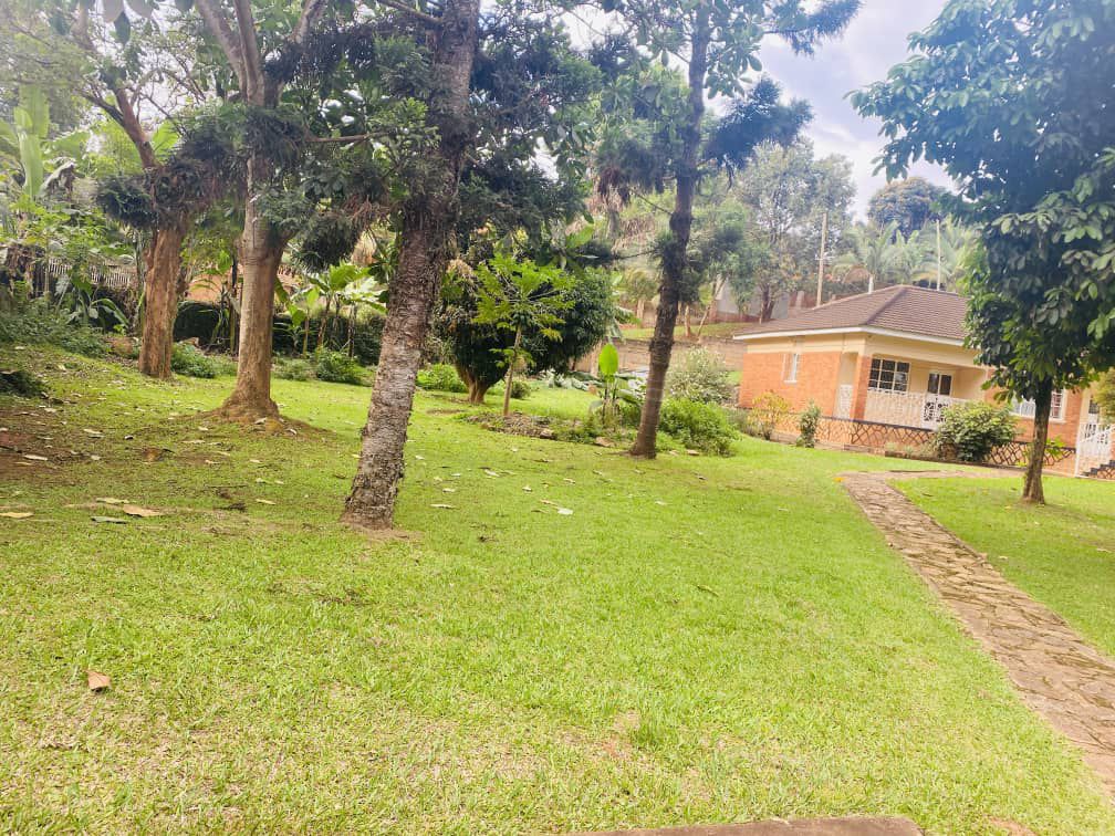 Jspropetyestete's tweet photo. HOUSE FOR SALE 

LOCATION 
NAGURU 

PLOT SIZE 
65 decimals

4 BEDROOMS
4 BATHROOMS 

PRICE 
$720,000 USD

Can also demolish for new construction https://t.co/OVsZyonwoq