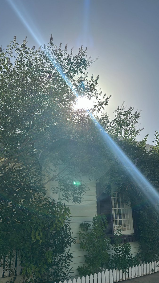 nd1i1's tweet photo. ☀️✨ https://t.co/IjA3WSDheC