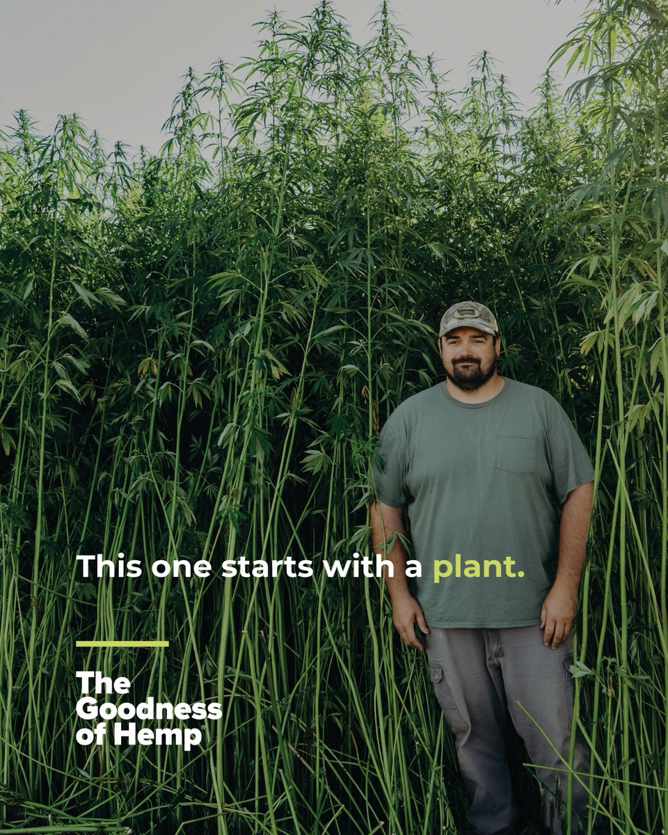 GoodnessofHemp's tweet photo. Every good product starts with a good story.

For hemp, that story begins with a plant.

A plant that supports farmers, fuels innovation, and creates opportunity across America.

Help keep a good thing going.

#TheGoodnessOfHemp https://t.co/BwE2NgjGp9