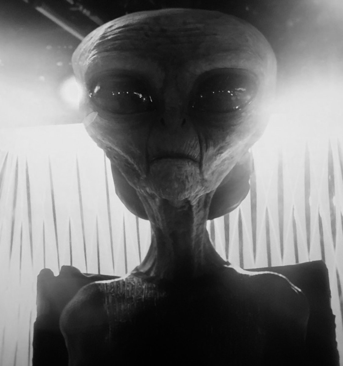 InterstellarUAP's tweet photo. After watching Disclosure Day, I can understand why the Catholic Church is not impressed.

Genesis 1:26-27 (KJV)

“And God said, Let us make man in our image, after our likeness: and let them have dominion over the fish of the sea, and over the fowl of the air, and over the cattle, and over all the earth, and over every creeping thing that creepeth upon the earth.”

“So God created man in his own image, in the image of God created he him; male and female created he them.”