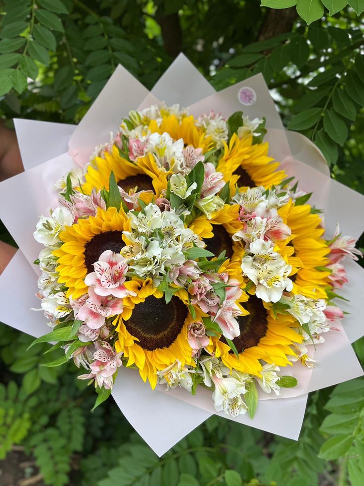 softpetalview's tweet photo. https://t.co/zKVA2KjPVh
