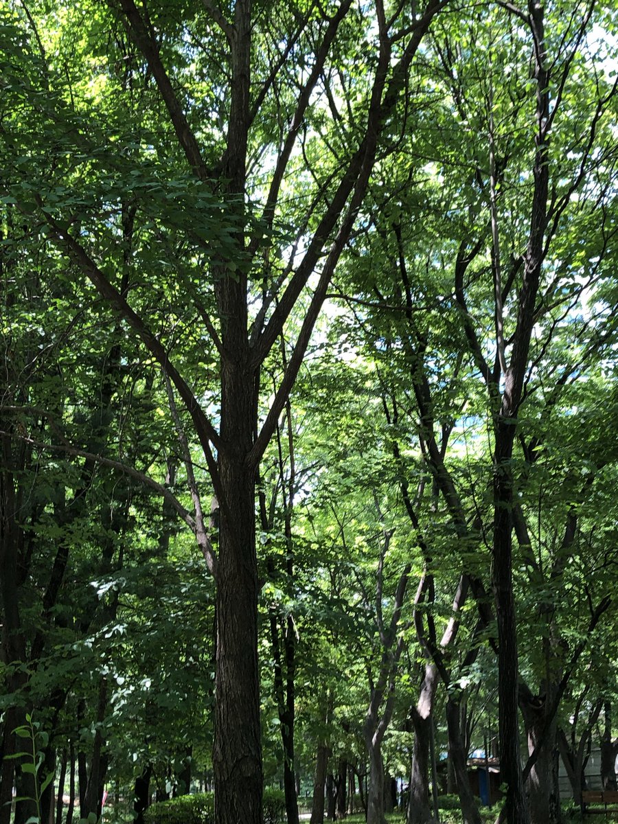 oeeee_o2's tweet photo. 초록아 사랑해 ~~~ 
🌳🍏🍃🌿🥦 https://t.co/9q9ncPxysB