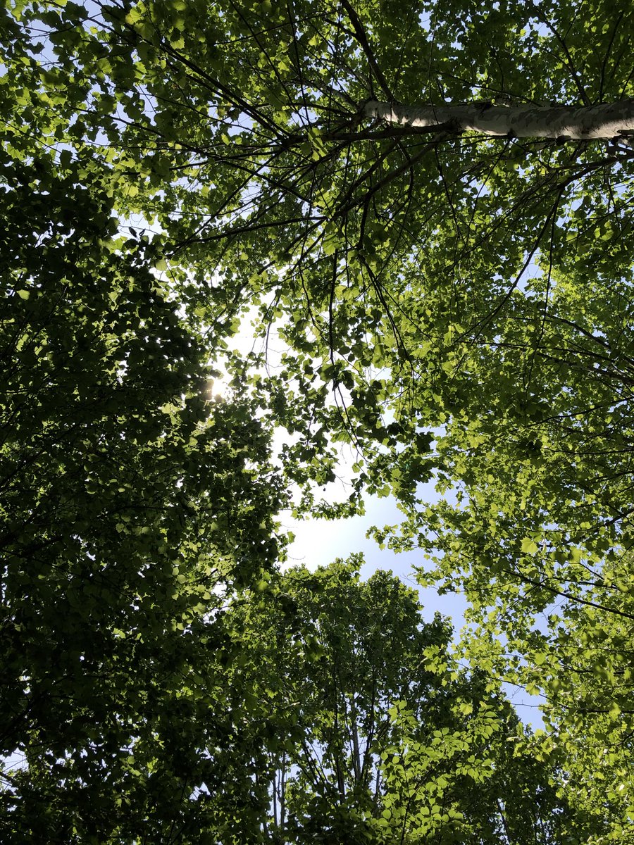oeeee_o2's tweet photo. 초록아 사랑해 ~~~ 
🌳🍏🍃🌿🥦 https://t.co/9q9ncPxysB